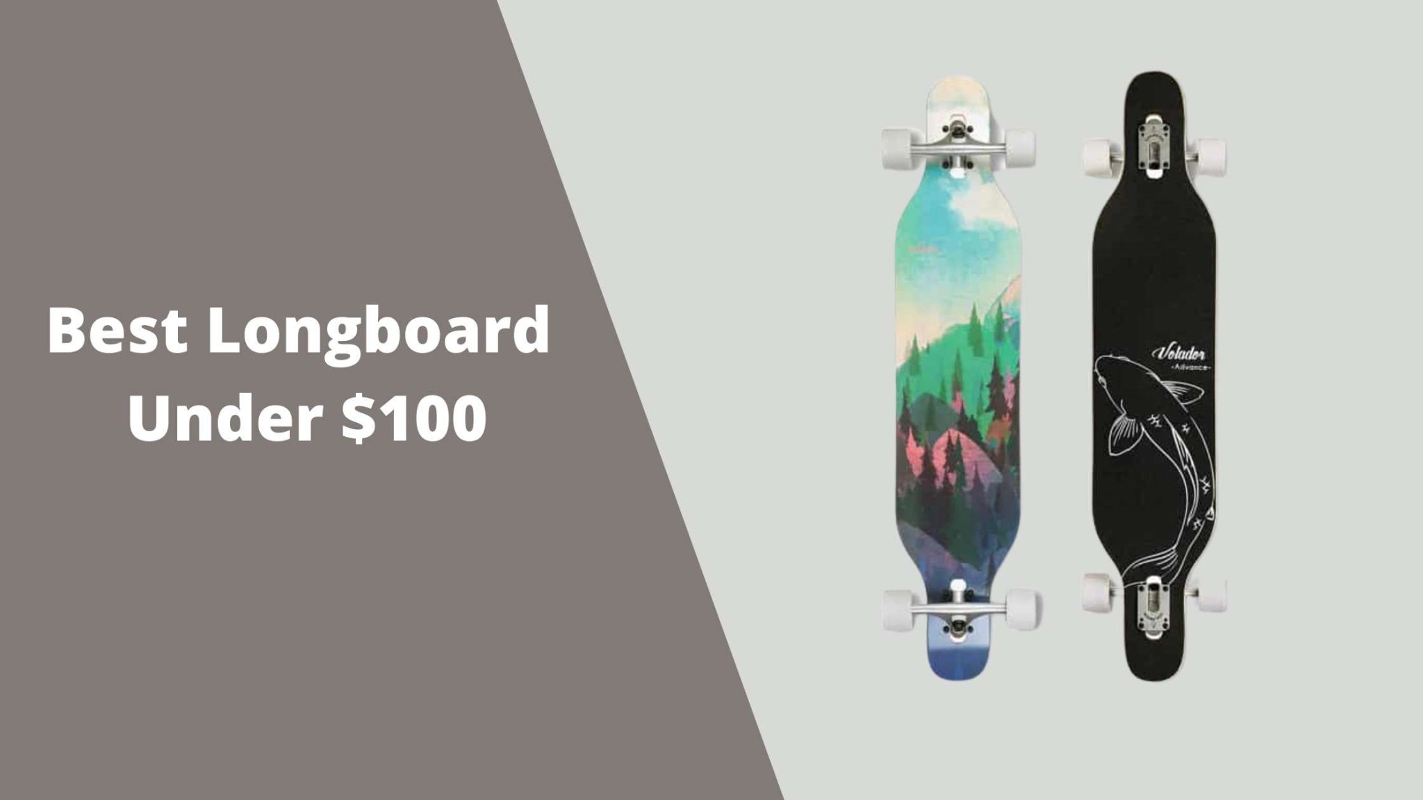 Best Longboard under 100 Best Skateboards & Longboards