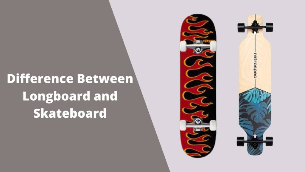 Difference Between Longboard and Skateboard Best Skateboards & Longboards